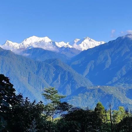 佩林 Wake In Himalayas旅舍 外观 照片